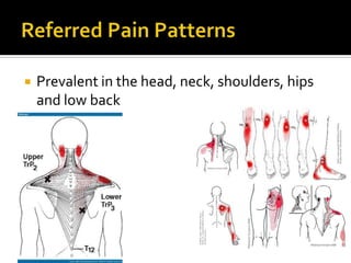  Prevalent in the head, neck, shoulders, hips
and low back
 