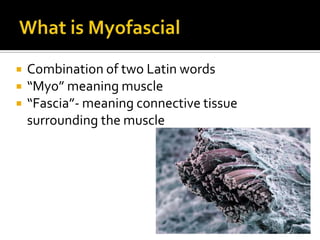  Combination of two Latin words
 “Myo” meaning muscle
 “Fascia”- meaning connective tissue
surrounding the muscle
 