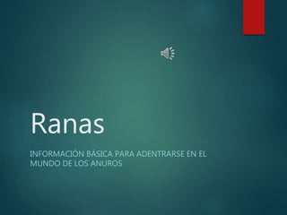 Ranas
INFORMACIÓN BÁSICA PARA ADENTRARSE EN EL
MUNDO DE LOS ANUROS
 