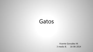 Gatos
Vicente González M.
3 medio B. 16-06-2014
 