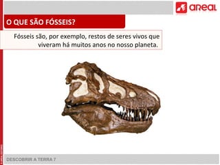 O QUE SÃO FÓSSEIS? 
Fósseis são, por exemplo, restos de seres vivos que 
viveram há muitos anos no nosso planeta. 
DESCOBRIR A TERRA 7 
 