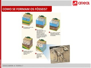 COMO SE FORMAM OS FÓSSEIS? 
DESCOBRIR A TERRA 7 
 