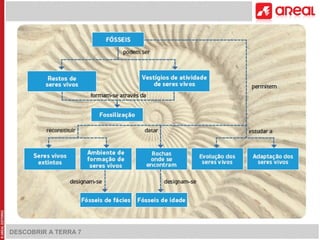 DESCOBRIR A TERRA 7 
