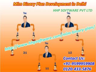 Initial stage of Digital Marketing Company in Noida