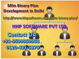 What do you mean by Mlm Binary Plan Development in Delhi 0120-433-5876