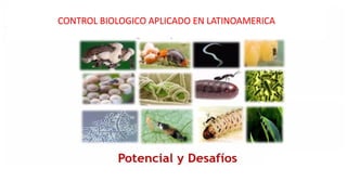 CONTROL BIOLOGICO APLICADO EN LATINOAMERICA
 