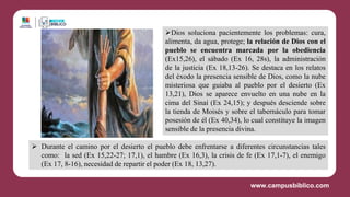 Dios soluciona pacientemente los problemas: cura,
alimenta, da agua, protege; la relación de Dios con el
pueblo se encuentra marcada por la obediencia
(Ex15,26), el sábado (Ex 16, 28s), la administración
de la justicia (Ex 18,13-26). Se destaca en los relatos
del éxodo la presencia sensible de Dios, como la nube
misteriosa que guiaba al pueblo por el desierto (Ex
13,21), Dios se aparece envuelto en una nube en la
cima del Sinaí (Ex 24,15); y después desciende sobre
la tienda de Moisés y sobre el tabernáculo para tomar
posesión de él (Ex 40,34), lo cual constituye la imagen
sensible de la presencia divina.
 Durante el camino por el desierto el pueblo debe enfrentarse a diferentes circunstancias tales
como: la sed (Ex 15,22-27; 17,1), el hambre (Ex 16,3), la crisis de fe (Ex 17,1-7), el enemigo
(Ex 17, 8-16), necesidad de repartir el poder (Ex 18, 13,27).
 