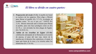 1. Preparación del éxodo (1-11): el pueblo de Israel
es esclavo de los egipcios, Dios elige a Moisés
para liberar al pueblo (Ex 3,7-12), revelando su
nombre como “Yo soy el que soy” YAHVÉ (Ex
3,14). Moisés intercede ante el faraón para liberar
al pueblo, para esto hace prodigios como en (Ex
4,1-9), y son enviadas las diez plagas de Egipto.
(Ex 7,8-25;9-11).
2. Salida de los israelitas de Egipto (12-18):
celebración anticipada de la liberación en la noche
de pascua, el paso del mar rojo, inicio de la
marcha por el desierto (las codornices, el maná, el
agua que brota de la roca y la victoria sobre los
amalecitas (Ex 17,8-16).
El libro se divide en cuatro partes:
 
