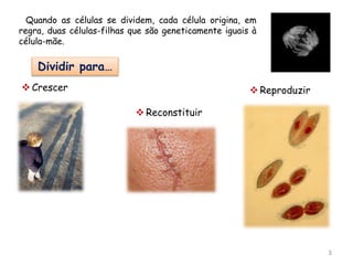 3
Quando as células se dividem, cada célula origina, em
regra, duas células-filhas que são geneticamente iguais à
célula-mãe.
Dividir para…
 Reconstituir
 Crescer  Reproduzir
 