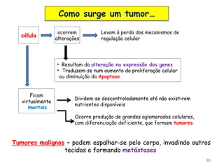 38
célula
ocorrem
alterações
Levam à perda dos mecanismos de
regulação celular
• Resultam da alteração na expressão dos genes
• Traduzem-se num aumento da proliferação celular
ou diminuição da Apoptose
Ficam
virtualmente
imortais
Dividem-se descontroladamente até não existirem
nutrientes disponíveis
Ocorre produção de grandes aglomerados celulares,
com diferenciação deficiente, que formam tumores
Tumores malignos – podem espalhar-se pelo corpo, invadindo outros
tecidos e formando metástases
Como surge um tumor…
 