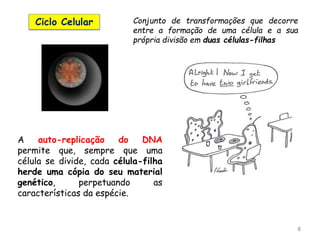 8
Conjunto de transformações que decorre
entre a formação de uma célula e a sua
própria divisão em duas células-filhas
Ciclo Celular
A auto-replicação do DNA
permite que, sempre que uma
célula se divide, cada célula-filha
herde uma cópia do seu material
genético, perpetuando as
características da espécie.
 