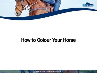 How to Colour Your Horse
 
