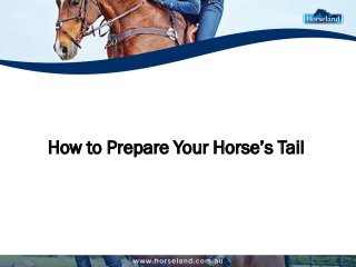 How to Prepare Your Horse’s Tail  
