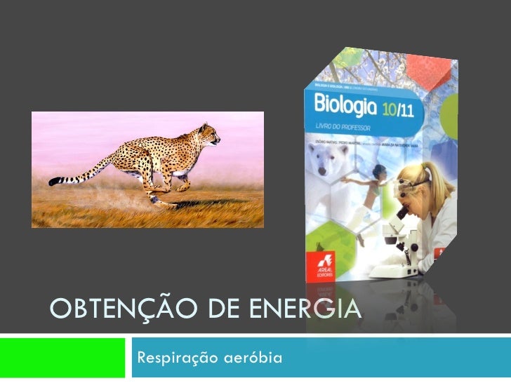 OBTENÇÃO DE ENERGIA  Respiração aeróbia 