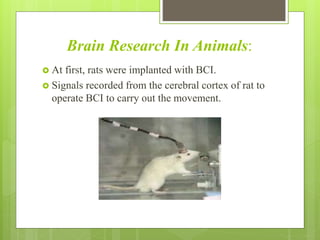 Brain Research In Animals:
 At first, rats were implanted with BCI.
 Signals recorded from the cerebral cortex of rat to
operate BCI to carry out the movement.
 