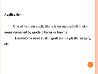 Application
One of its main applications is for reconstituting skin
areas damaged by grade 3 burns or trauma.
Dermatome used in skin graft such a plastic surgery,
etc
 