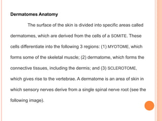 Dermatomes Anatomy
The surface of the skin is divided into specific areas called
dermatomes, which are derived from the cells of a SOMITE. These
cells differentiate into the following 3 regions: (1) MYOTOME, which
forms some of the skeletal muscle; (2) dermatome, which forms the
connective tissues, including the dermis; and (3) SCLEROTOME,
which gives rise to the vertebrae. A dermatome is an area of skin in
which sensory nerves derive from a single spinal nerve root (see the
following image).
 