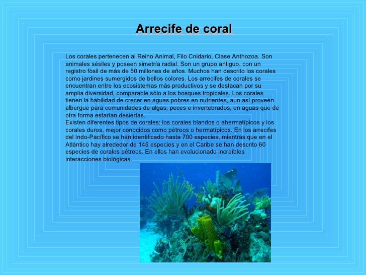 A Que Reino Pertenece El Coral
