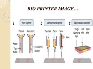 3D BIO PRINTING USING TISSUE AND ORGANS | PPTX