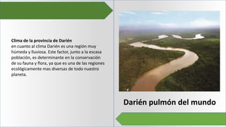 Darién pulmón del mundo
Clima de la provincia de Darién
en cuanto al clima Darién es una región muy
húmeda y lluviosa. Este factor, junto a la escasa
población, es determinante en la conservación
de su fauna y flora, ya que es una de las regiones
ecológicamente mas diversas de todo nuestro
planeta.
 