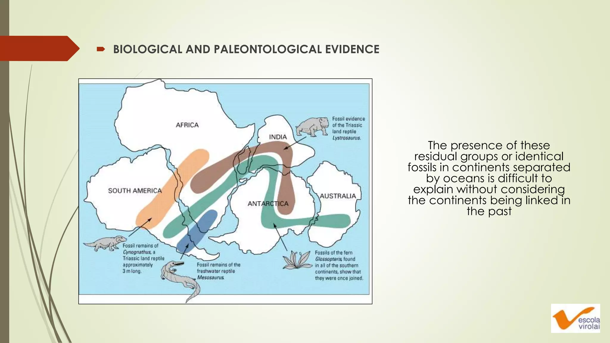  BIOLOGICAL AND PALEONTOLOGICAL EVIDENCE
The presence of these
residual groups or identical
fossils in continents separated
by oceans is difficult to
explain without considering
the continents being linked in
the past
 