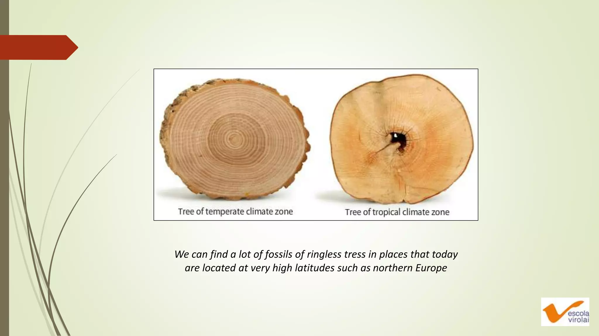 We can find a lot of fossils of ringless tress in places that today
are located at very high latitudes such as northern Europe
 