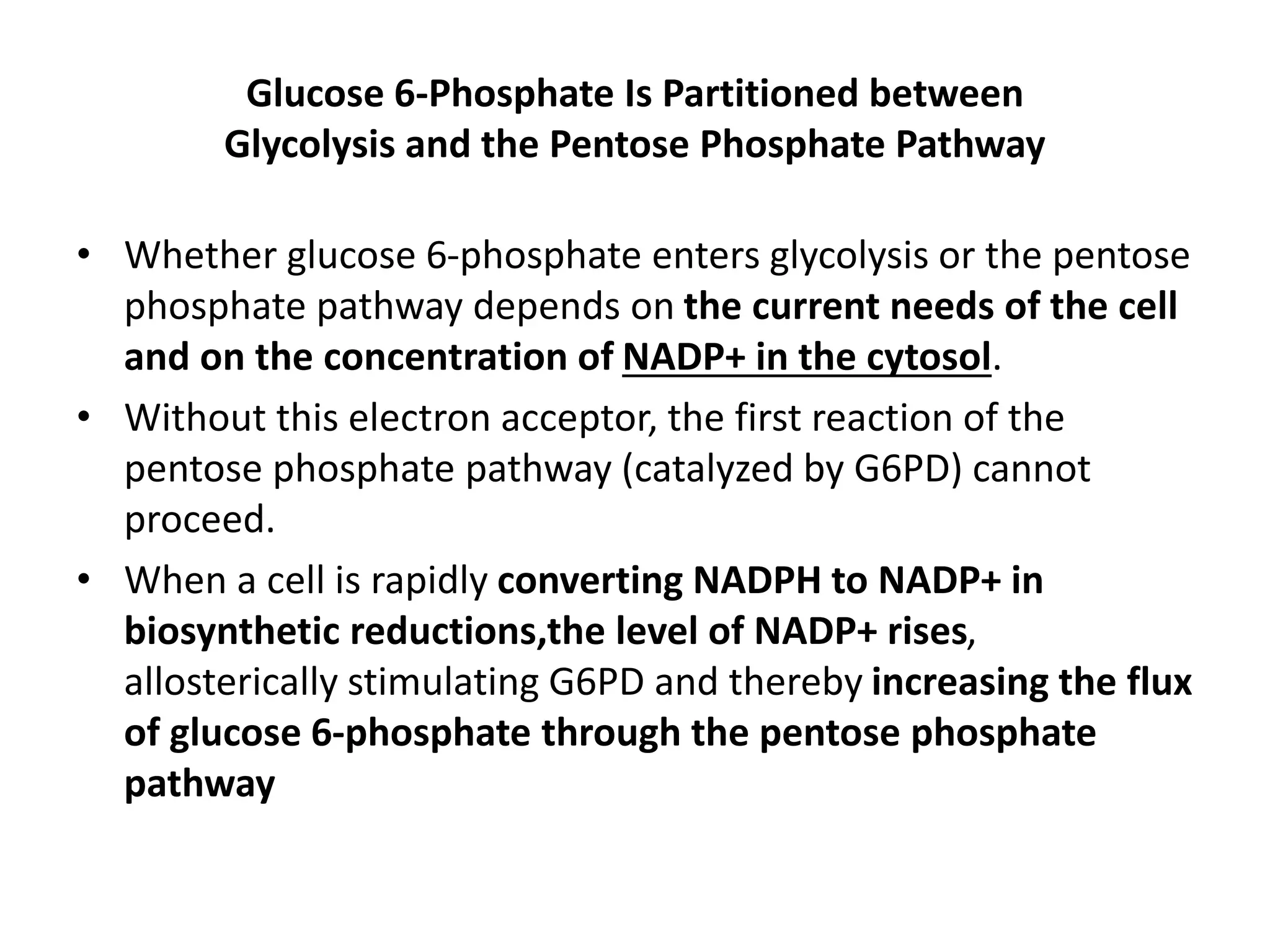Glucose 6-Phosphate Is Partitioned between
Glycolysis and the Pentose Phosphate Pathway
• Whether glucose 6-phosphate enters glycolysis or the pentose
phosphate pathway depends on the current needs of the cell
and on the concentration of NADP+ in the cytosol.
• Without this electron acceptor, the first reaction of the
pentose phosphate pathway (catalyzed by G6PD) cannot
proceed.
• When a cell is rapidly converting NADPH to NADP+ in
biosynthetic reductions,the level of NADP+ rises,
allosterically stimulating G6PD and thereby increasing the flux
of glucose 6-phosphate through the pentose phosphate
pathway
 