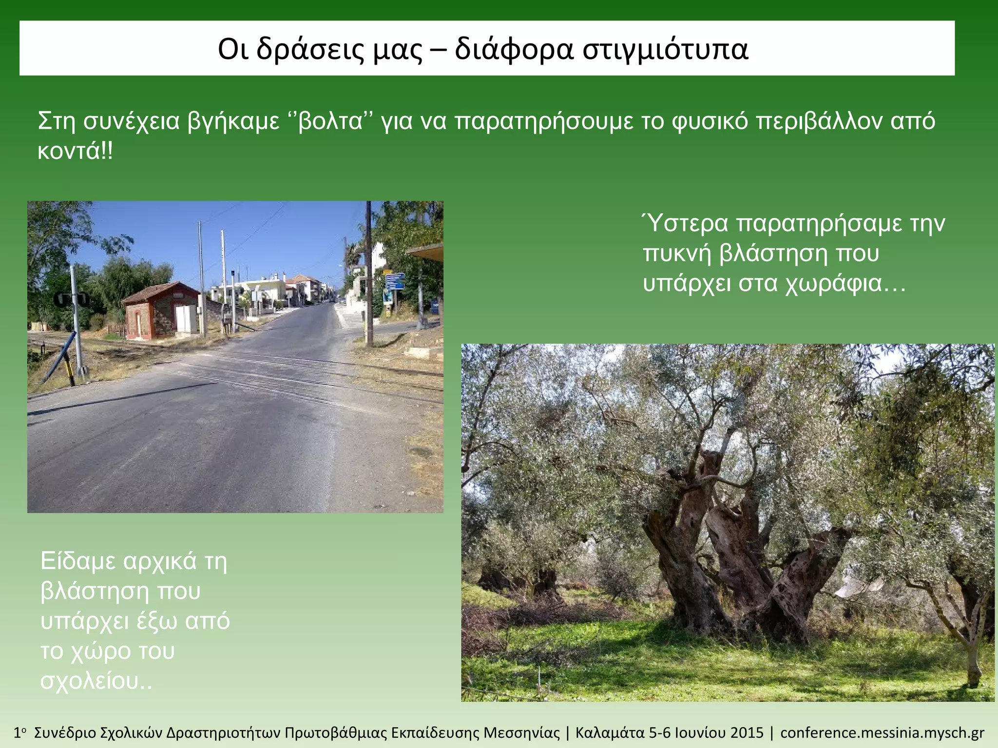 Οι δράσεις μας – διάφορα στιγμιότυπα
1ο
Συνέδριο Σχολικών Δραστηριοτήτων Πρωτοβάθμιας Εκπαίδευσης Μεσσηνίας | Καλαμάτα 5-6 Ιουνίου 2015 | conference.messinia.mysch.gr
Στη συνέχεια βγήκαμε ‘’βολτα’’ για να παρατηρήσουμε το φυσικό περιβάλλον από
κοντά!!
Είδαμε αρχικά τη
βλάστηση που
υπάρχει έξω από
το χώρο του
σχολείου..
Ύστερα παρατηρήσαμε την
πυκνή βλάστηση που
υπάρχει στα χωράφια…
 