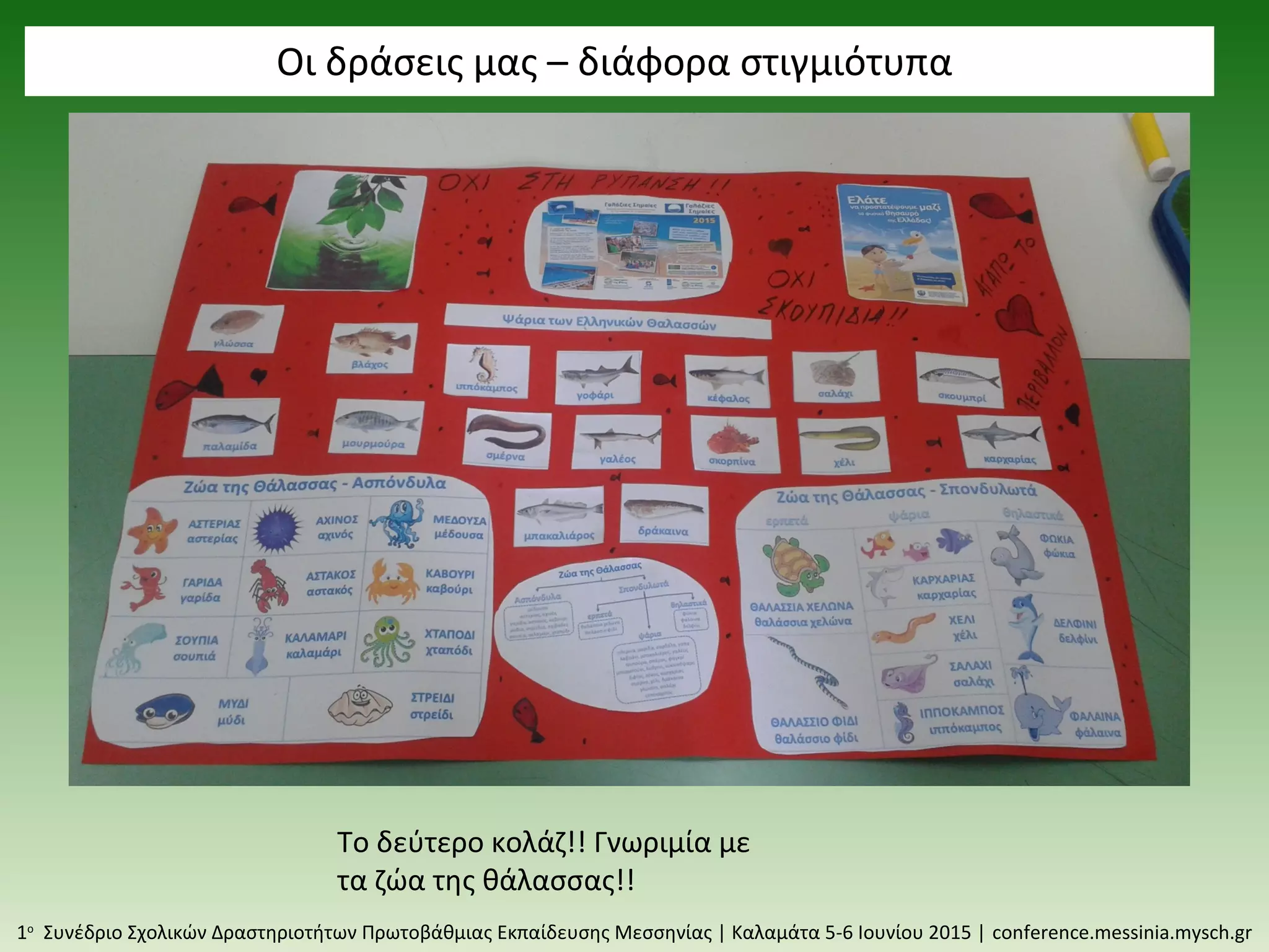 Οι δράσεις μας – διάφορα στιγμιότυπα
1ο
Συνέδριο Σχολικών Δραστηριοτήτων Πρωτοβάθμιας Εκπαίδευσης Μεσσηνίας | Καλαμάτα 5-6 Ιουνίου 2015 | conference.messinia.mysch.gr
Το δεύτερο κολάζ!! Γνωριμία με
τα ζώα της θάλασσας!!
 