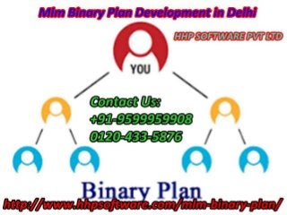 Learning about Mlm Binary Plan Development in Delhi
