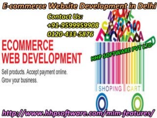 Dealing with E-commerce Website Development in Delhi 0120-433-5876