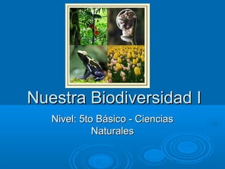 Nuestra Biodiversidad INuestra Biodiversidad I
Nivel: 5to Básico - CienciasNivel: 5to Básico - Ciencias
NaturalesNaturales
 