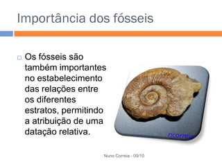 Importância dos fósseis

   Os fósseis são
    também importantes
    no estabelecimento
    das relações entre
    os diferentes
    estratos, permitindo
    a atribuição de uma
    datação relativa.

                       Nuno Correia - 09/10
 