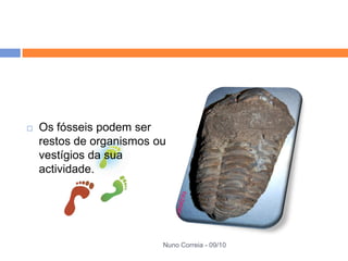    Os fósseis podem ser
    restos de organismos ou
    vestígios da sua
    actividade.




                          Nuno Correia - 09/10
 