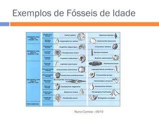 Exemplos de Fósseis de Idade




              Nuno Correia - 09/10
 
