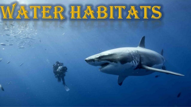 Water habitats