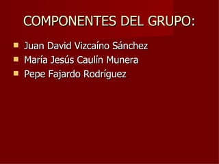 COMPONENTES DEL GRUPO:
 Juan David Vizcaíno Sánchez
 María Jesús Caulín Munera
 Pepe Fajardo Rodríguez
 