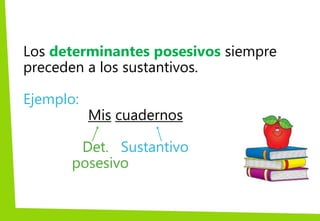 Los determinantes posesivos siempre
preceden a los sustantivos.
Ejemplo:
Mis cuadernos
Det. Sustantivo
posesivo
 