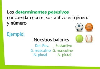 Los determinantes posesivos
concuerdan con el sustantivo en género
y número.
Ejemplo:
Nuestros balones
Det. Pos. Sustantivo
G. masculino G. masculino
N. plural N. plural
 