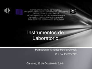 Instrumentos de Laboratorio Participante: Américo Rocha Gomes C. I. V- 13,233,747 Caracas, 22 de Octubre de 2,011 