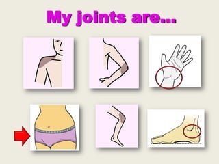 My joints are...

 