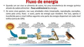 Ppt6.1_Ciclo de matéria e fluxo de energia_8ºano (1).pptx