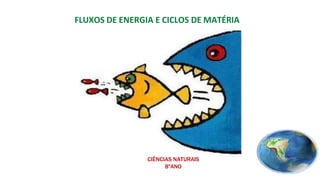 FLUXOS DE ENERGIA E CICLOS DE MATÉRIA
CIÊNCIAS NATURAIS
8ºANO
 