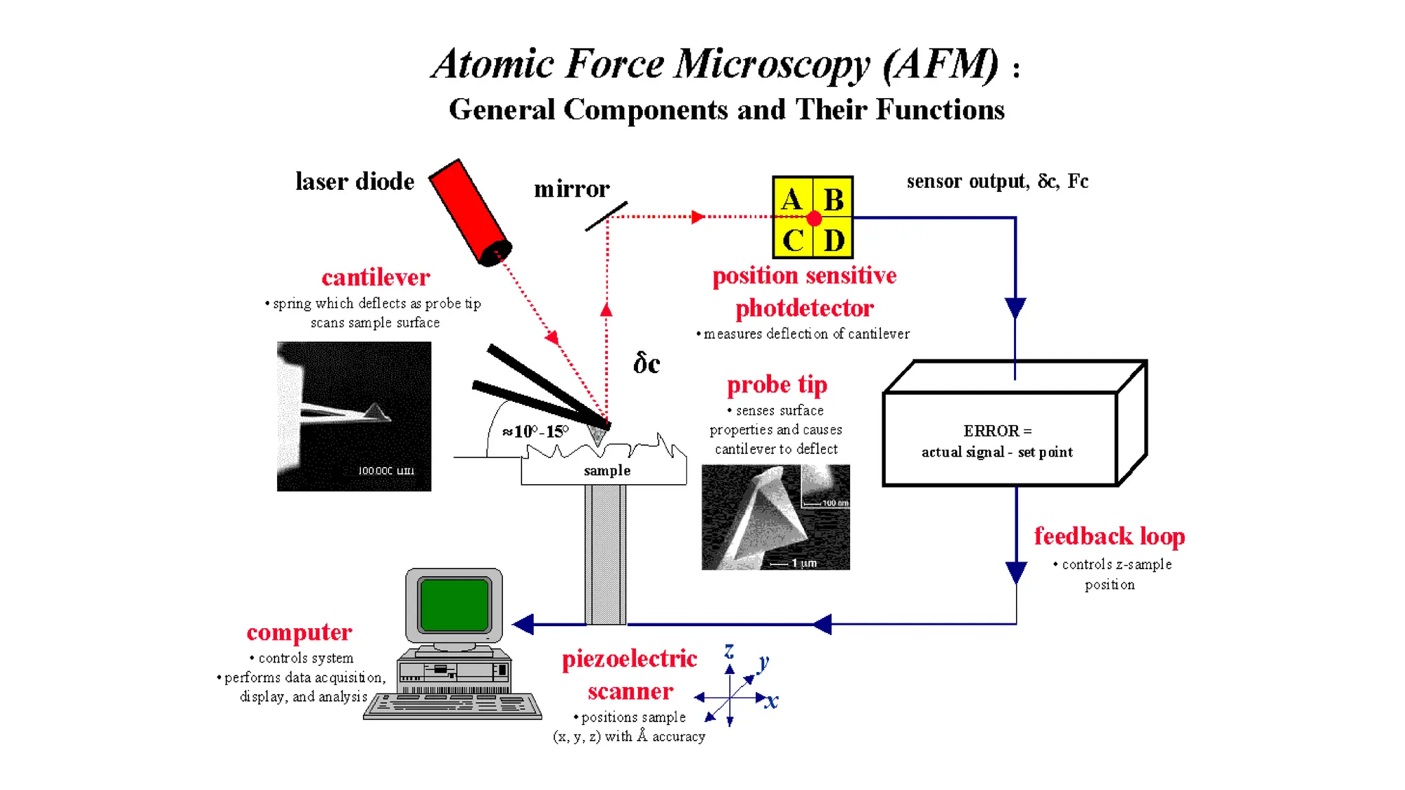 Atomic force microscope afm full pptx