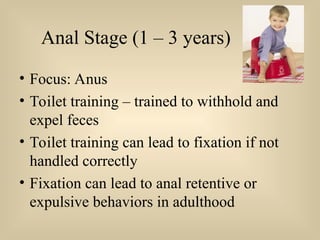 Anal Stage (1 – 3 years)
• Focus: Anus
• Toilet training – trained to withhold and
expel feces
• Toilet training can lead to fixation if not
handled correctly
• Fixation can lead to anal retentive or
expulsive behaviors in adulthood
 