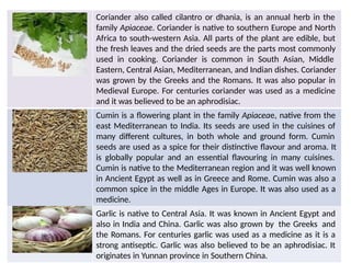 Coriander also called cilantro or dhania, is an annual herb in the
family Apiaceae. Coriander is native to southern Europe and North
Africa to south-western Asia. All parts of the plant are edible, but
the fresh leaves and the dried seeds are the parts most commonly
used in cooking. Coriander is common in South Asian, Middle
Eastern, Central Asian, Mediterranean, and Indian dishes. Coriander
was grown by the Greeks and the Romans. It was also popular in
Medieval Europe. For centuries coriander was used as a medicine
and it was believed to be an aphrodisiac.
Cumin is a flowering plant in the family Apiaceae, native from the
east Mediterranean to India. Its seeds are used in the cuisines of
many different cultures, in both whole and ground form. Cumin
seeds are used as a spice for their distinctive flavour and aroma. It
is globally popular and an essential flavouring in many cuisines.
Cumin is native to the Mediterranean region and it was well known
in Ancient Egypt as well as in Greece and Rome. Cumin was also a
common spice in the middle Ages in Europe. It was also used as a
medicine.
Garlic is native to Central Asia. It was known in Ancient Egypt and
also in India and China. Garlic was also grown by the Greeks and
the Romans. For centuries garlic was used as a medicine as it is a
strong antiseptic. Garlic was also believed to be an aphrodisiac. It
originates in Yunnan province in Southern China.
 