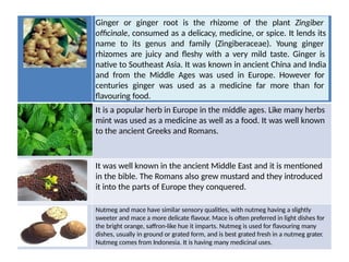 Ginger or ginger root is the rhizome of the plant Zingiber
officinale, consumed as a delicacy, medicine, or spice. It lends its
name to its genus and family (Zingiberaceae). Young ginger
rhizomes are juicy and fleshy with a very mild taste. Ginger is
native to Southeast Asia. It was known in ancient China and India
and from the Middle Ages was used in Europe. However for
centuries ginger was used as a medicine far more than for
flavouring food.
It is a popular herb in Europe in the middle ages. Like many herbs
mint was used as a medicine as well as a food. It was well known
to the ancient Greeks and Romans.
It was well known in the ancient Middle East and it is mentioned
in the bible. The Romans also grew mustard and they introduced
it into the parts of Europe they conquered.
Nutmeg and mace have similar sensory qualities, with nutmeg having a slightly
sweeter and mace a more delicate flavour. Mace is often preferred in light dishes for
the bright orange, saffron-like hue it imparts. Nutmeg is used for flavouring many
dishes, usually in ground or grated form, and is best grated fresh in a nutmeg grater.
Nutmeg comes from Indonesia. It is having many medicinal uses.
 