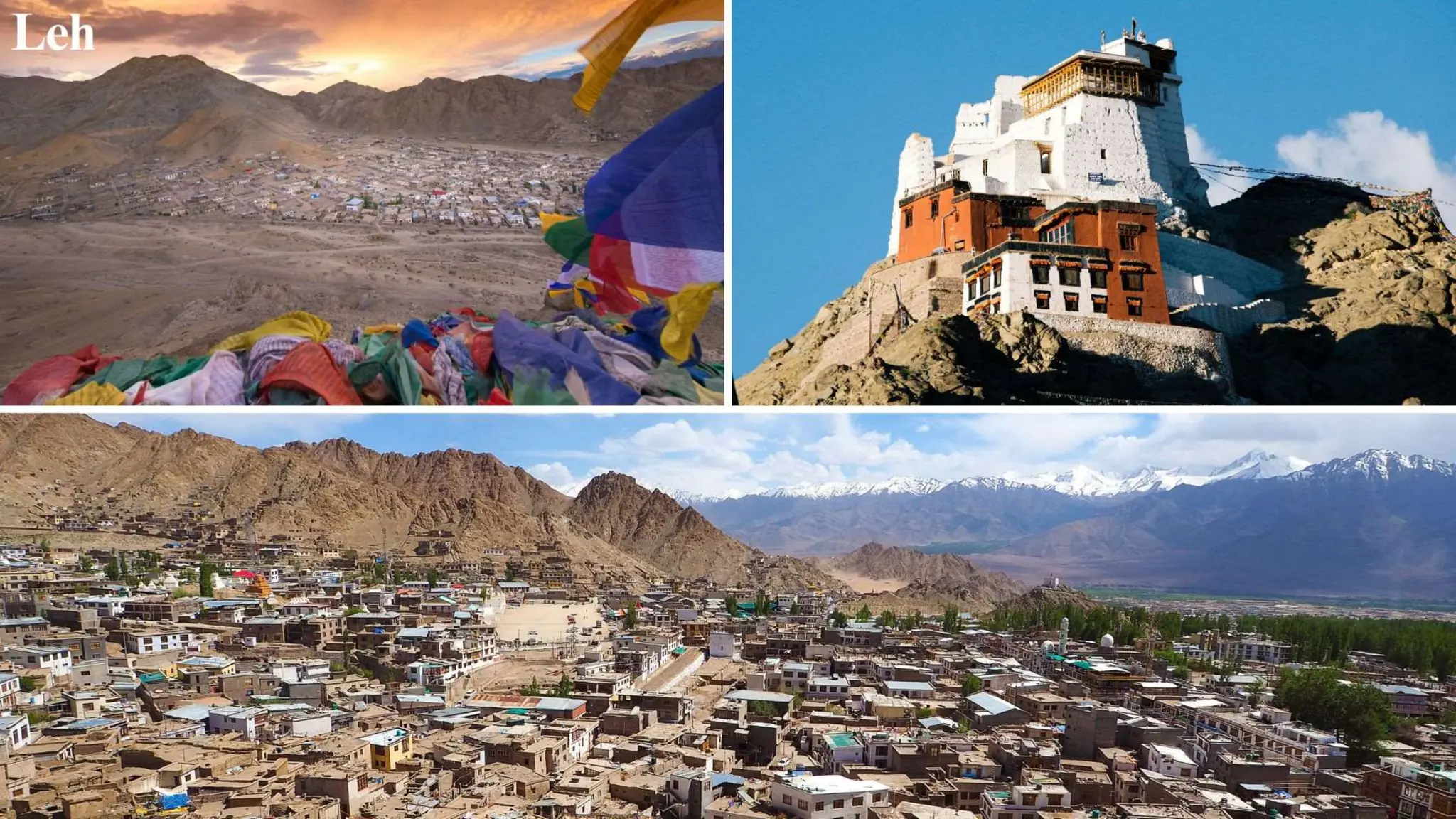 Snow Leopard Expedition Tours | Bird watching In Leh Ladakh | PPT