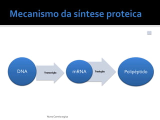Ppt 7   SíNtese Proteica Slide 5