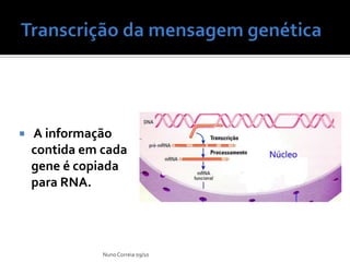 Ppt 7   SíNtese Proteica Slide 6